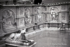 Piazza del Campo 1998-11-15