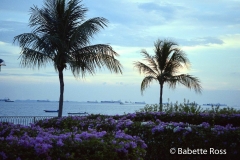 Long Beach 1999-10-06
