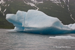 Spencer Glacier