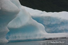 Spencer Glacier