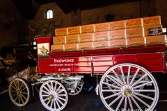 Grant's Farm