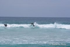 Bondi Beach