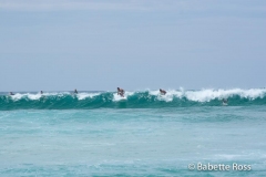 Bondi Beach