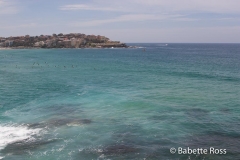 Bondi Beach
