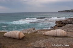 Cliff Walk - Bondi to Tamarama - Sculpture by The Sea