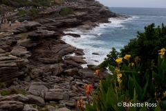 Cliff Walk - Bondi to Tamarama - Sculpture by The Sea