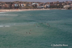 Bondi Beach