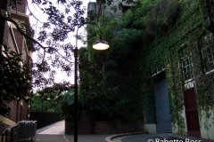 The Rocks