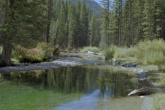 Targhee National Forest