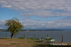 Lake Taupo