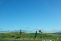 between Dunedin & TeAnu