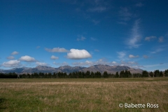between Dunedin & TeAnu