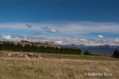 between Dunedin & TeAnu