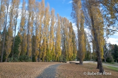 TeAnu