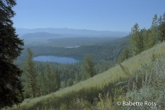 Lupine Meadow Trail