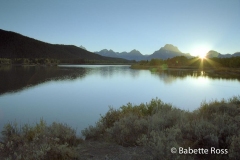Oxbow Bend Sunset