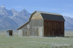 Mormon Row