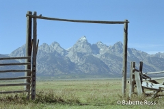 Mormon Row