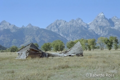 Mormon Row