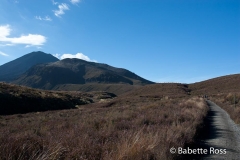 Tongariro Crossing