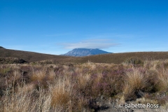 Tongariro Crossing