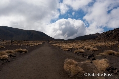 Tongariro Crossing