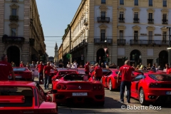 All of the Ferraris 2015-09-04