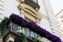 Piazza Castello 2015-09-05