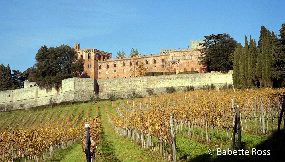 Castello De Brolio 1998-11-18