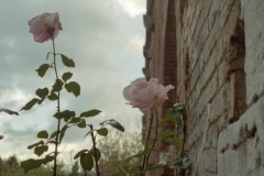 San Galgano 1998-11-16