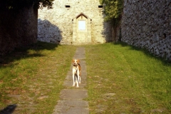 Cortona 1998-11-17