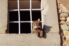 Cortona 1998-11-17