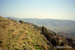 Cortona 1998-11-17
