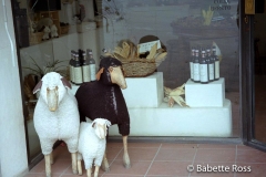 Radda in Chianti 1998-11-18