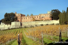 Castello De Brolio 1998-11-18