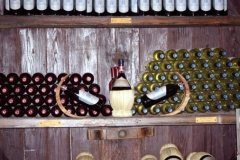 Chastellini in Chianti 1998-11-18