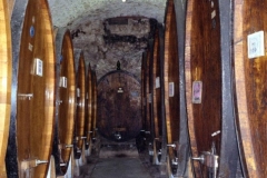 Chastellini in Chianti 1998-11-18