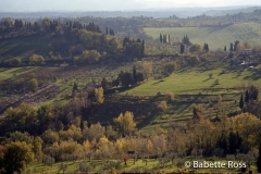 San Gimignano 1998-11-19