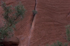 Uluru