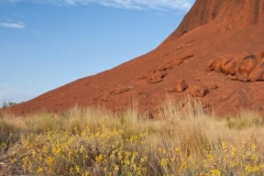 Uluru
