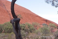 Uluru