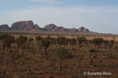 Kata Tjuta - Olgas