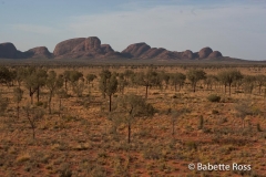 Kata Tjuta - Olgas