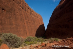 Kata Tjuta - Olgas