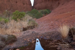 Kata Tjuta - Olgas