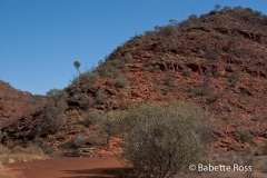 King's Canyon