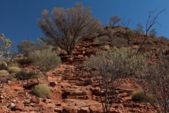 King's Canyon