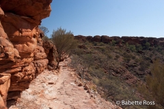 King's Canyon