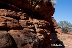 King's Canyon