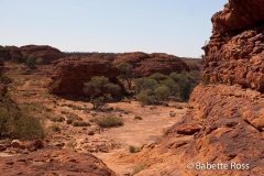 King's Canyon
